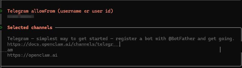 配置 Telegram allowFrom